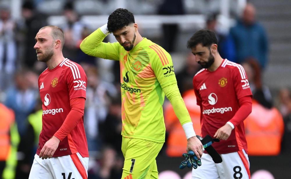 自己丰富的 自己丰富的